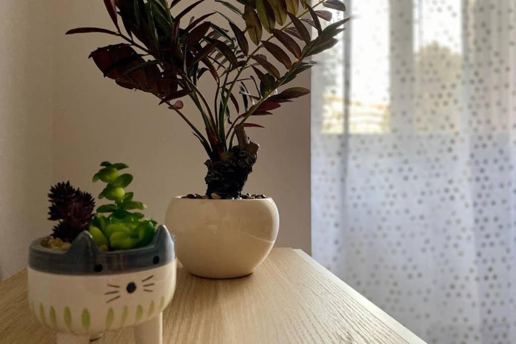 Central Modern Apartment Rome -Locazione Turistica- Εξωτερικό φωτογραφία